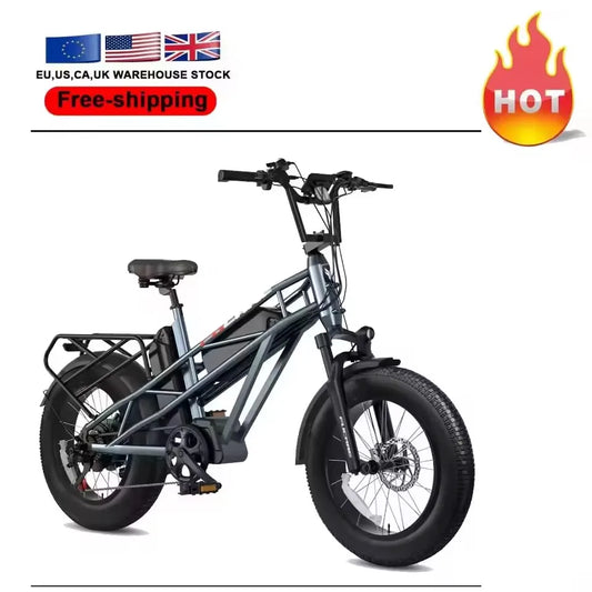 2025 New with 750W 1000W Motor Two Battery 48V 20" Electric Bike for Adults Electric Mountain Bike Electric Fat Tire Bicycles